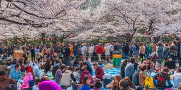 Tokyo,,Japan, ,March,24,,2013:,Tokyo,Crowd,Enjoying,Cherry