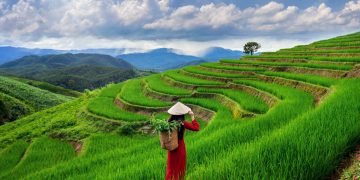 Asian,Woman,Wearing,Vietnam,Culture,Traditional,At,Rice,Terrace,Of