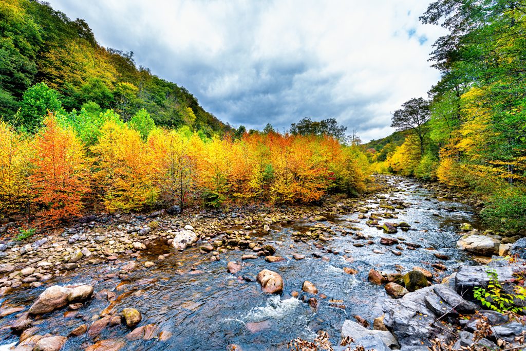 Flowing,Water,At,Red,Creek,In,Dolly,Sods,Wilderness,West