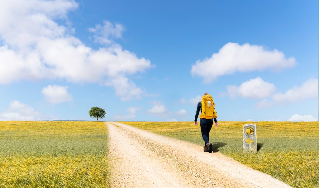 Camino,De,Santiago, ,A,Young,Pilgrim,With,A,Yellow