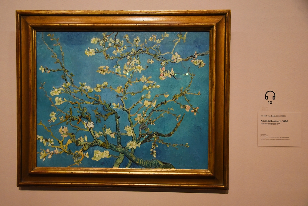 Amsterdam,,Netherlands.,January,20,,2024.,Almond,Blossom,By,Vincent,Van